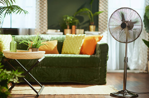 Meilleur ventilateur dans salon avec plantes