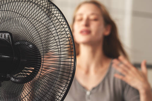 Ventilateur ou climatiseur pour contrer la canicule cet été